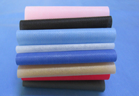 大化涤纶（PET）无纺布是什么